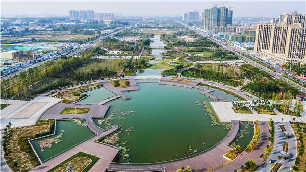 中央公園-4.jpg