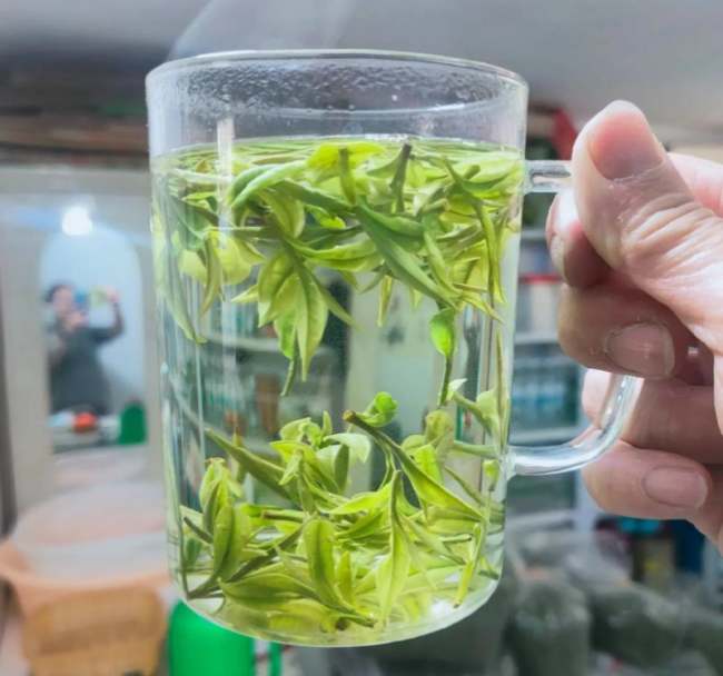 青岛市南安吉白茶专卖店，山东市南安吉白茶【价格、图片、地址、联系方式】