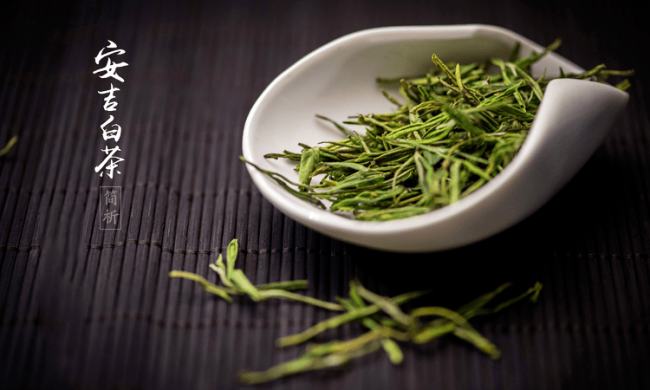 漯河召陵区安吉白茶专卖店，召陵安吉白茶【价格、图片、地址、联系方式】