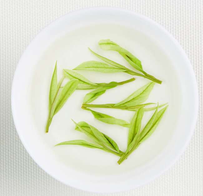 鹤壁浚县安吉白茶专卖店，浚县安吉白茶【价格、图片、地址、联系方式】