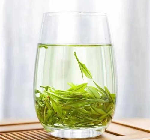 洛阳栾川县安吉白茶专卖店，栾川安吉白茶【价格、图片、地址、联系方式】