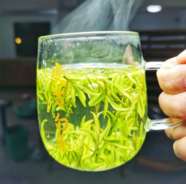 烟台龙口安吉白茶专卖店，山东龙口安吉白茶【价格、图片、地址、联系方式】