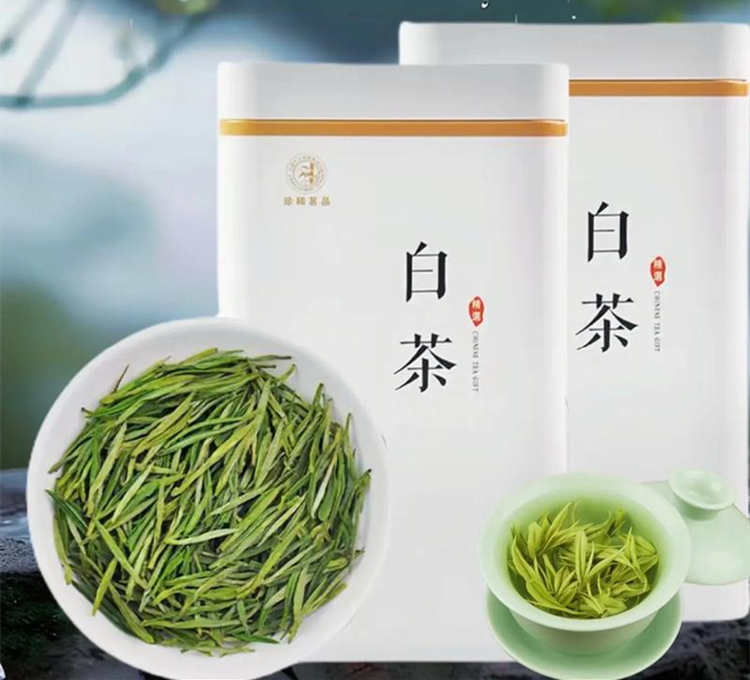 安吉白茶制茶属于什么工艺，安吉白茶茶树品种
